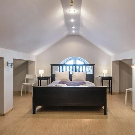 Dandelion Lacplesa * Riga