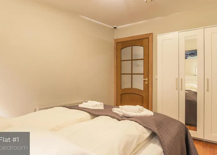 Dandelion Lacplesa Dzīvoklis *