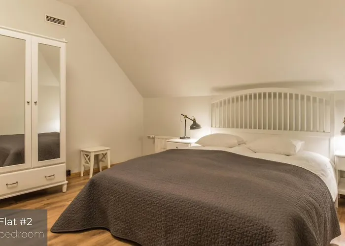 Dandelion Lacplesa Riga