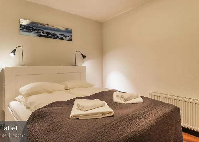 Dandelion Lacplesa Riga