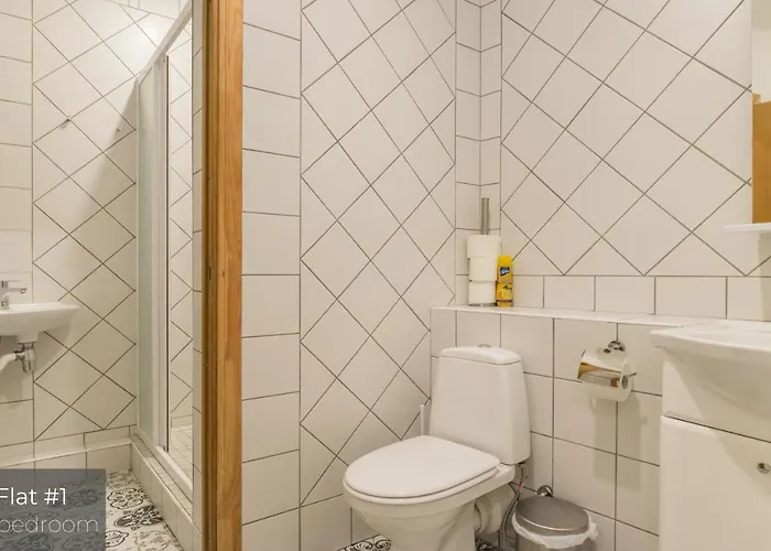 Dandelion Lacplesa Dzīvoklis Riga