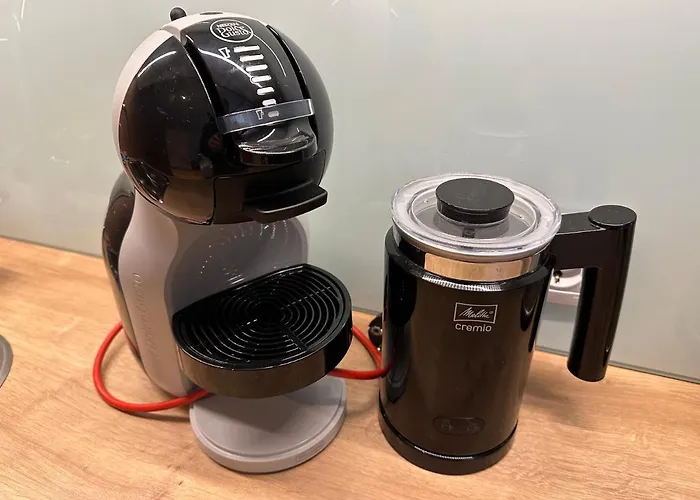 Dandelion Lacplesa * Riga