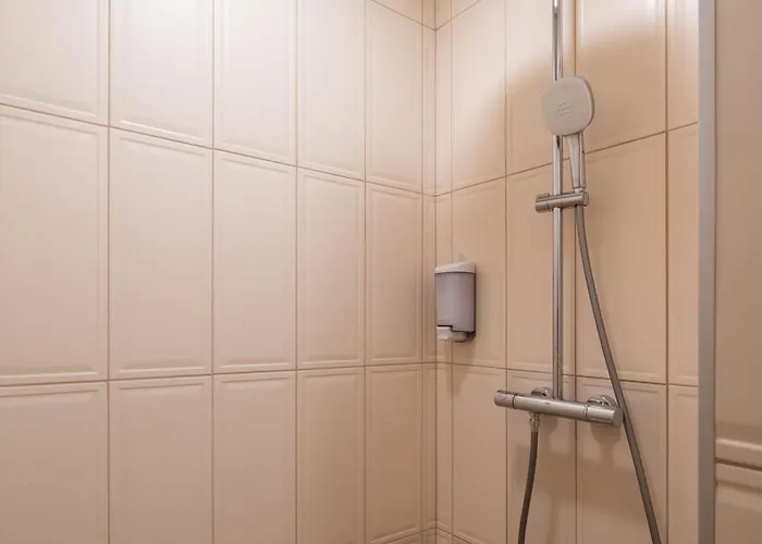 Dandelion Lacplesa Рига