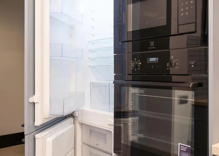 Dandelion Lacplesa *