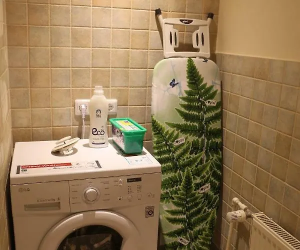 Dandelion Lacplesa *