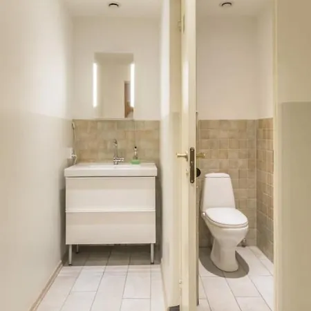 Appartement Dandelion Lacplesa Riga