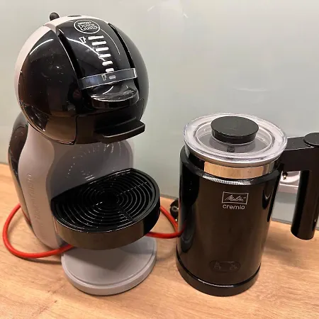 Dandelion Lacplesa * Riga