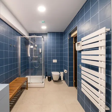 Dandelion Lacplesa *