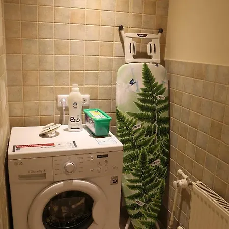 Dandelion Lacplesa *