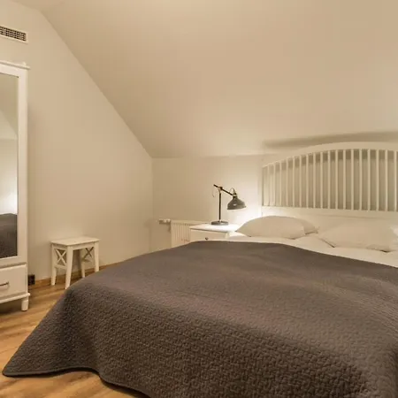 Dandelion Lacplesa Riga