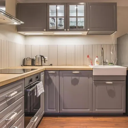 Dandelion Lacplesa * Riga