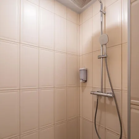 Dandelion Lacplesa Riga